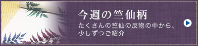 今週の竺仙