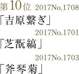 竺仙浴衣ランキング第10位　 男物注染染めキングサイズ トリオで3柄好調　綿花織男帯（現品限り）焼男桐下駄